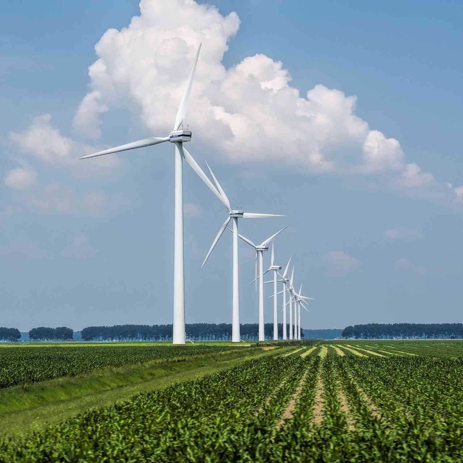 10_windkraftanlagen_001